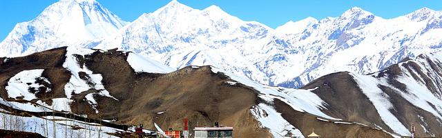 上門龍婿葉辰蕭初然_第321章 書畫協會理事