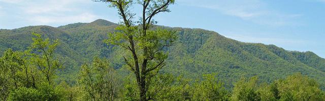 上門龍婿葉辰蕭初然_第3021章 無我、真我