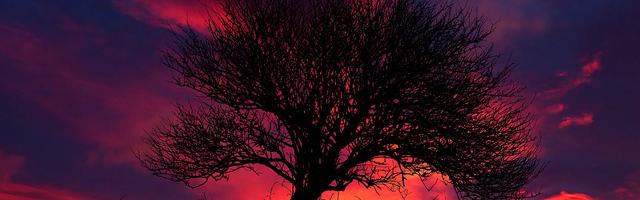 上門龍婿葉辰蕭初然_第145章 董若琳表白！