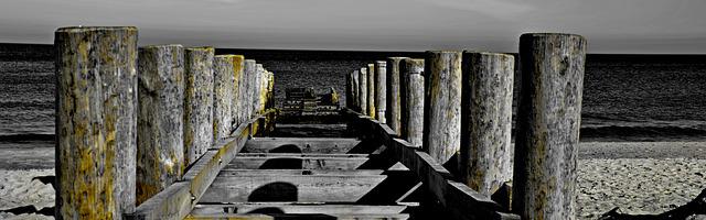 上門龍婿葉辰蕭初然_第3217章 全資收購