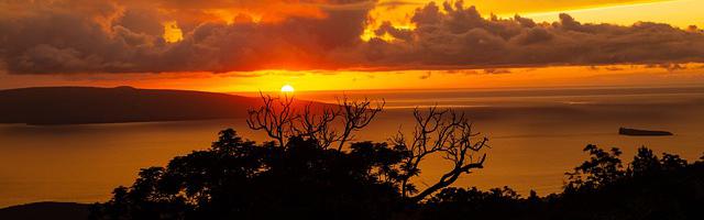 都市神醫葉辰很囂張_第12311章 四神獸（三合一）