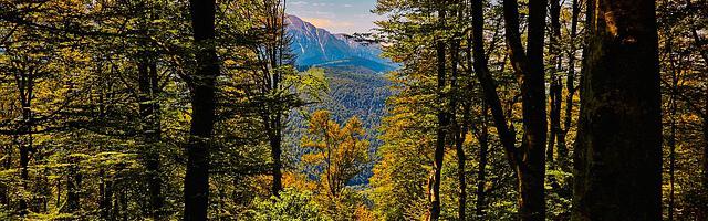 上門龍婿葉辰蕭初然_第2376章 去親身經歷