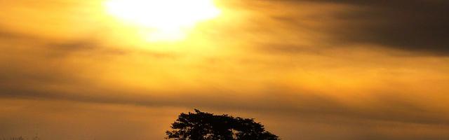 上門龍婿葉辰蕭初然_第3253章 同命相連