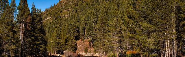 上門龍婿葉辰蕭初然_第3342章 亂局