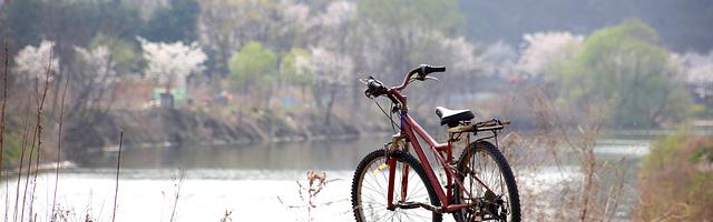 上門龍婿葉辰蕭初然_第2912章 全都見一遍