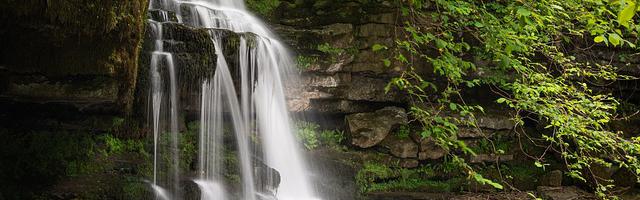 都市神醫葉辰很囂張_第12311章 四神獸（三合一）