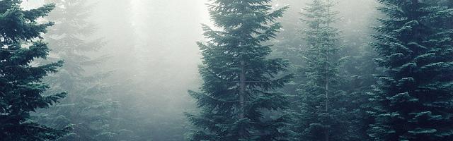 上門龍婿葉辰蕭初然_第2694章 順手成全一下