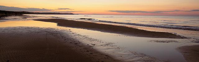 上門龍婿葉辰蕭初然_第2260章 不知葉先生歡不歡迎