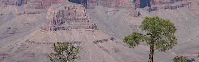 上門龍婿葉辰蕭初然_第221章 誰是窮吊？