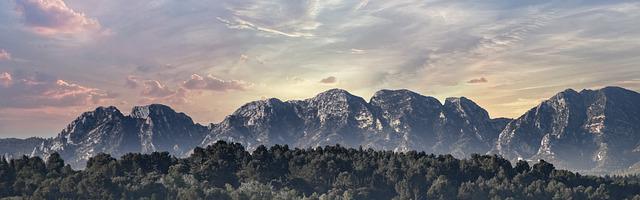 上門龍婿葉辰蕭初然_第1940章 玩一手陽謀