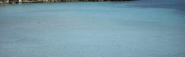 上門龍婿葉辰蕭初然_都1738章 活著，比什么都重要！