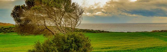 上門龍婿葉辰蕭初然_第162章 有我在就夠了！