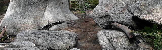 上門龍婿葉辰蕭初然_第3363章 抵達金陵第一站