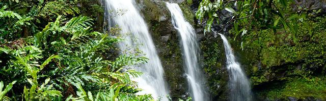 上門龍婿葉辰蕭初然_第746章 神來之筆