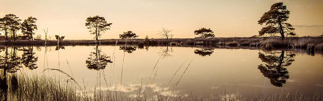 上門龍婿葉辰蕭初然_第303章 輸慘了！