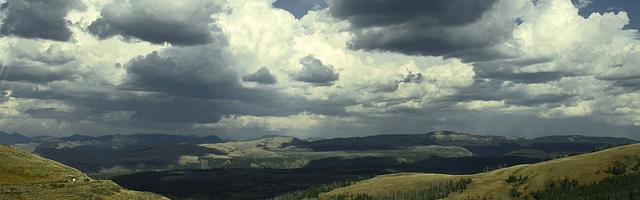 上門龍婿葉辰蕭初然_第3148章 飯局取消