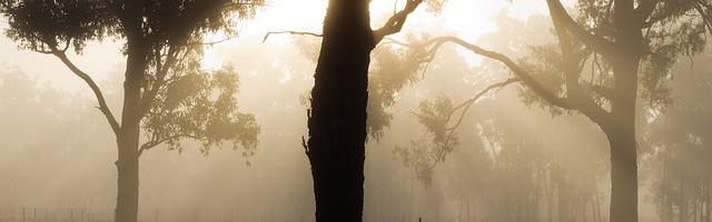 上門龍婿葉辰蕭初然_第3029章 神跡降臨