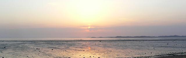 上門龍婿葉辰蕭初然_第2159章 都不對勁！