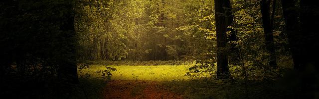 上門龍婿葉辰蕭初然_第1596章 不死不休！