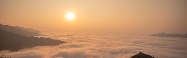 上門龍婿葉辰蕭初然_第1085章 故意設了一個局