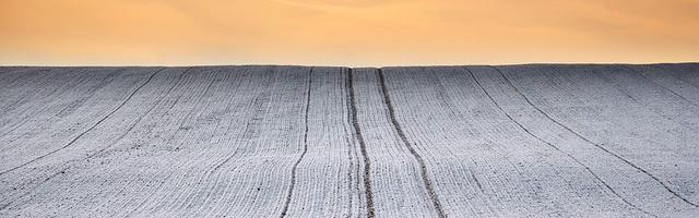 上門龍婿葉辰蕭初然_第2624章 老鐵