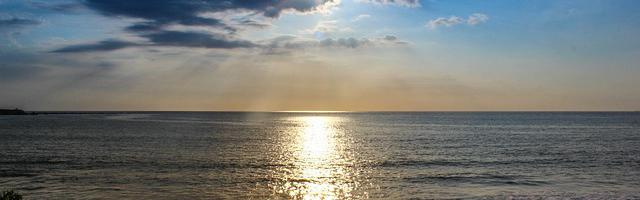 上門龍婿葉辰蕭初然_第3320章 我想回美國！