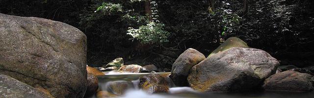 上門龍婿葉辰蕭初然_第39章 太愛裝了