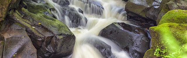 上門龍婿葉辰蕭初然_第350章 背鍋俠