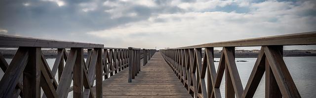 上門龍婿葉辰蕭初然_第161章 與你們何干？