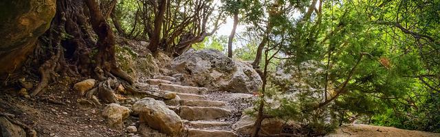 上門龍婿葉辰蕭初然_第1264章 可能性很大！