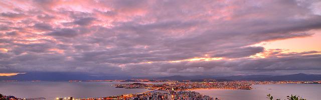 上門龍婿葉辰蕭初然_第2689章 走一步看一步