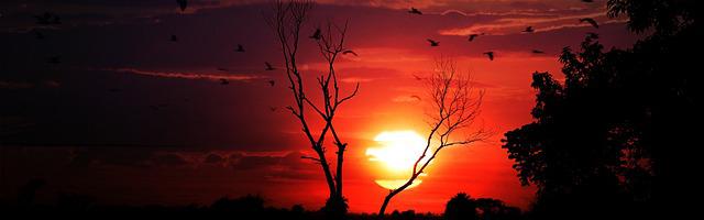 上門龍婿葉辰蕭初然_第568章 葉辰，你好毒的心