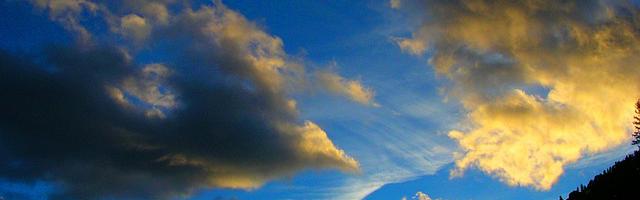 上門龍婿葉辰蕭初然_第186章 業務熟練了……