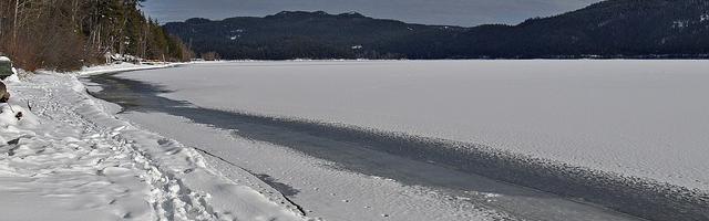 上門龍婿葉辰蕭初然_第143章 愛上葉辰！