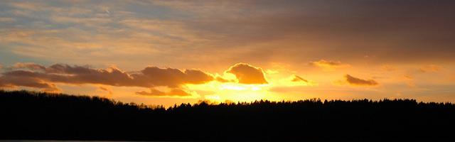 上門龍婿葉辰蕭初然_第3034章 回國