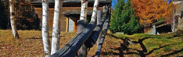 上門龍婿葉辰蕭初然_第2737章 全部斬殺！