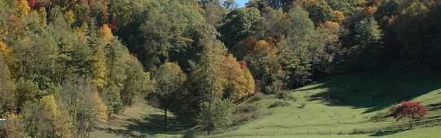 上門龍婿葉辰蕭初然_第2220章 歸來吧！