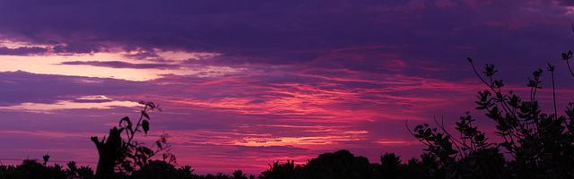 上門龍婿葉辰蕭初然_第3225章 可能就是最后一次了