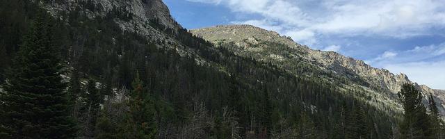 上門龍婿葉辰蕭初然_第2920章 著手準備