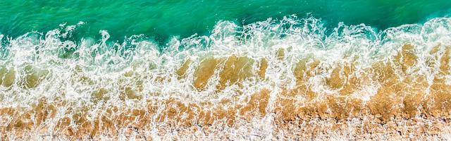 上門龍婿葉辰蕭初然_第838章 內憂外患