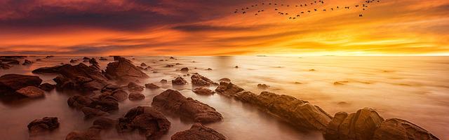 上門龍婿葉辰蕭初然_第3210章 Ai模型交付