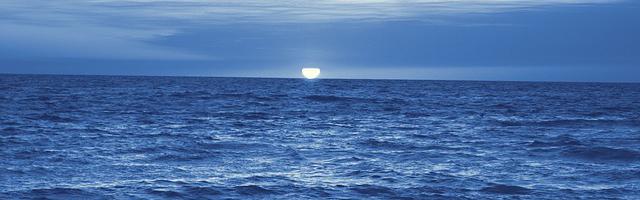 上門龍婿葉辰蕭初然_第1930章 劫富濟貧