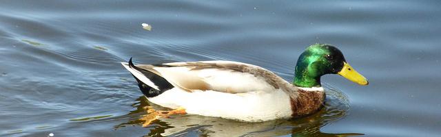 上門龍婿葉辰蕭初然_第762章 絕不讓你難做