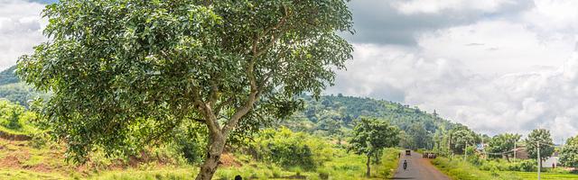 上門龍婿葉辰蕭初然_第2233章 客隨主便