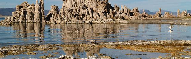 上門龍婿葉辰蕭初然_第51章 豈有此理！