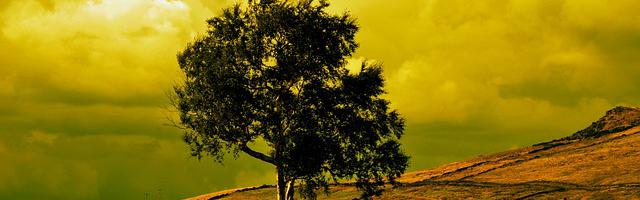 上門龍婿葉辰蕭初然_第3221章 鎖定目標