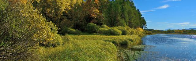 上門龍婿葉辰蕭初然_第3357章 把熱度炒起來