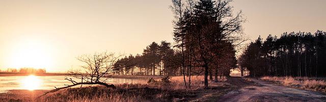 都市神醫葉辰很囂張_第12311章 四神獸（三合一）