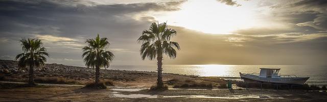 上門龍婿葉辰蕭初然_第3292章 豐富多彩