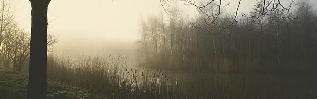 上門龍婿葉辰蕭初然_第2752章 新劇本